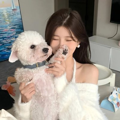 第一夫人的保镖